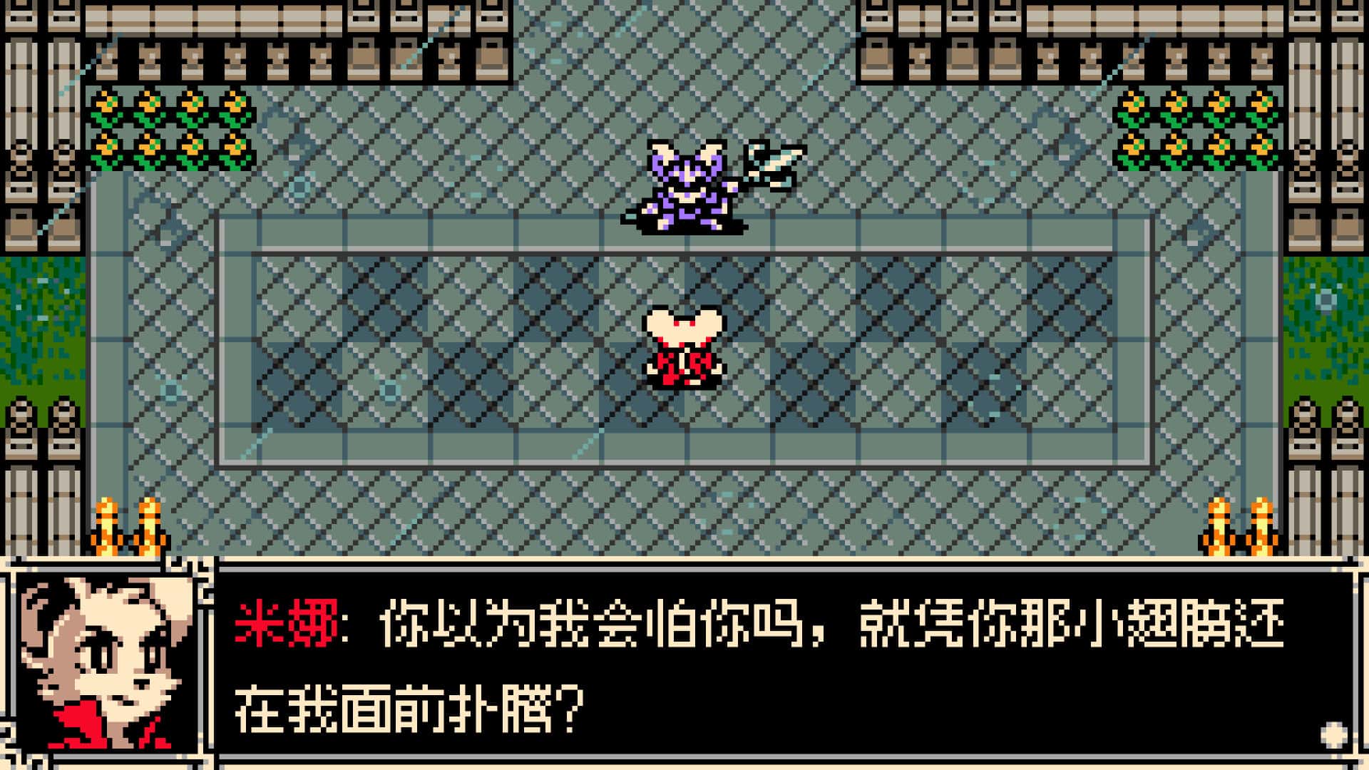 视觉数据5